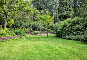 Optimiser l'expérience du jardin à Boisleux-au-Mont